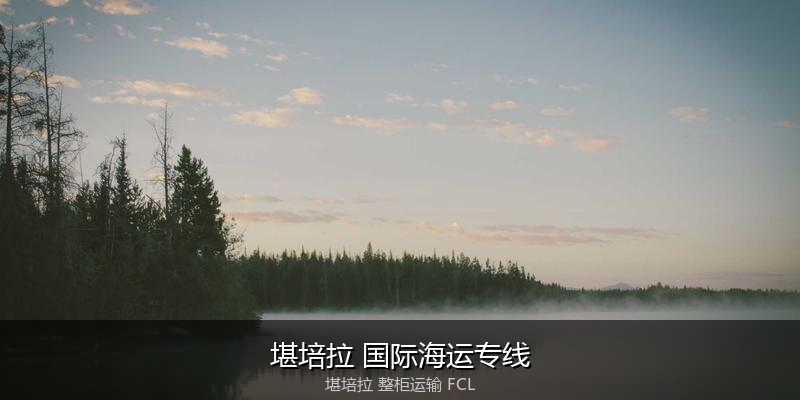 海运拼箱与整柜运输优劣对比